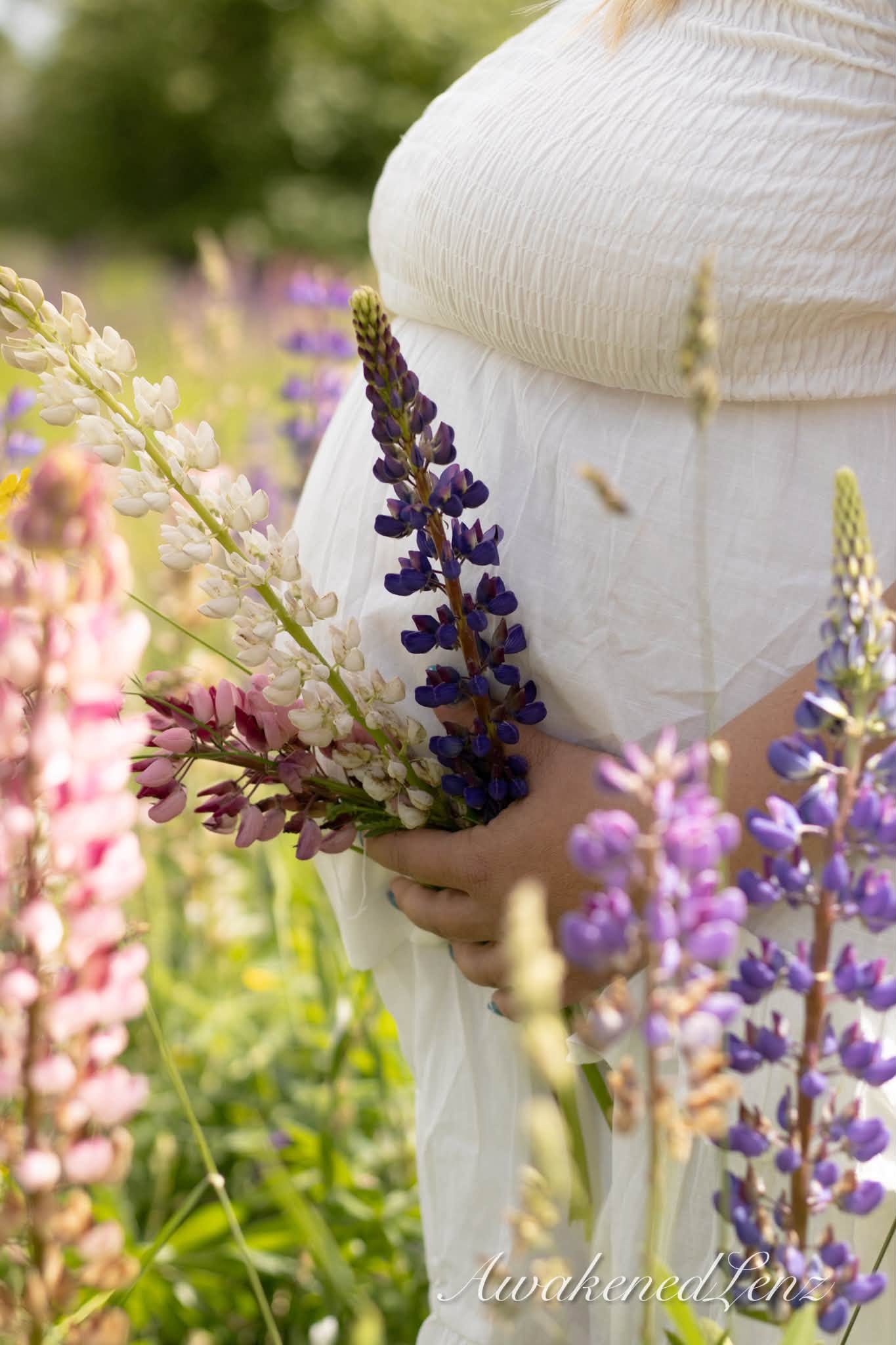 A close crop of an expecting mother holding lupines against her dress