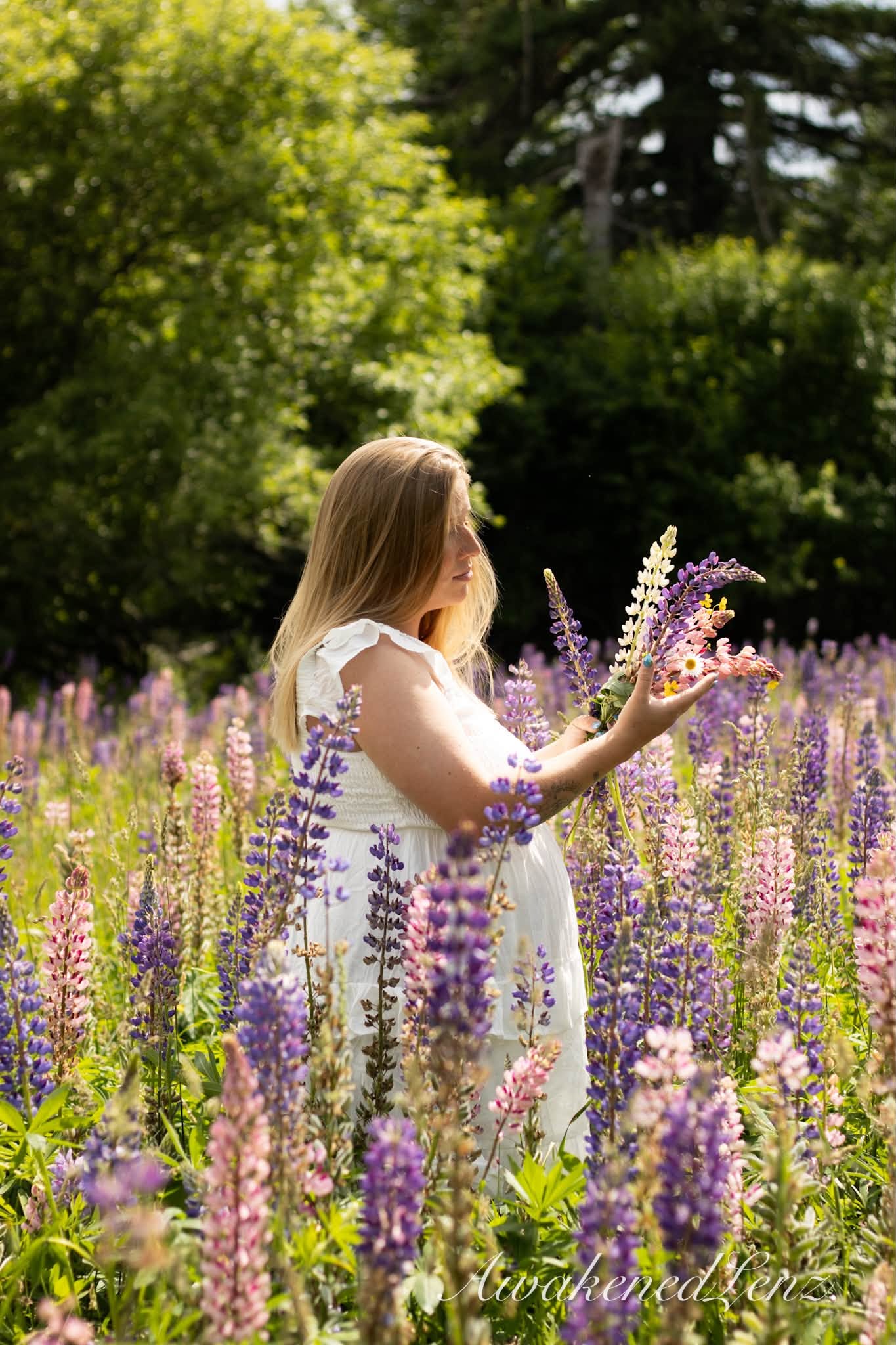 An expecting mother reaching out to a lupine stalk at the edge of the trees