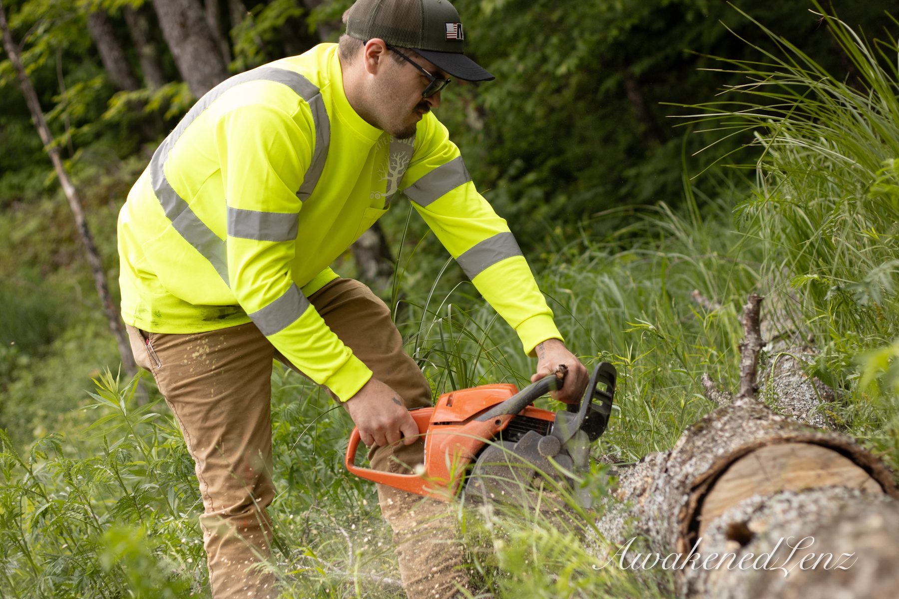 A tree worker in high visibility gear starting a cut on a fallen log