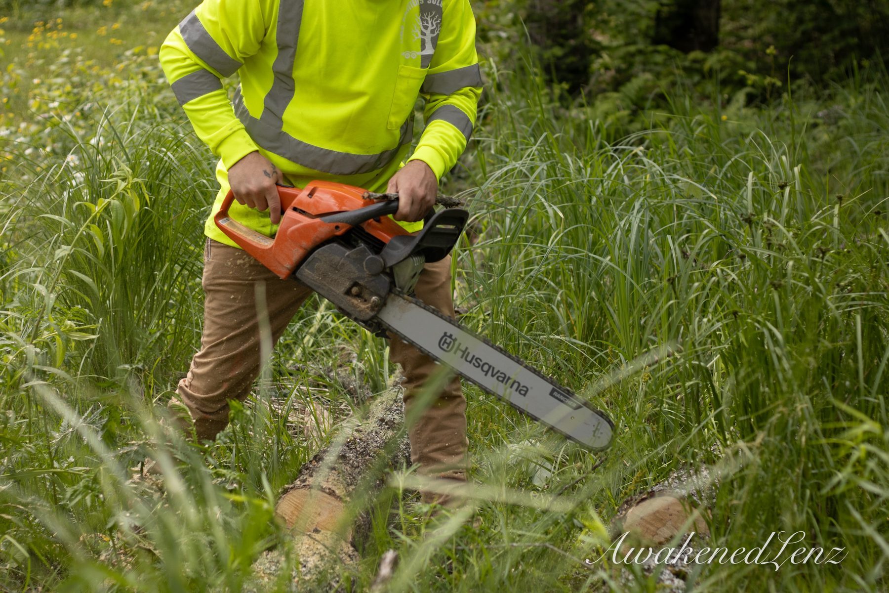 A close view of a chainsaw bar biting into a log in tall grass